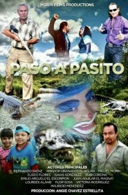 Paso a Pasito