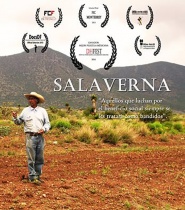 Salaverna