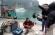 Farewell Halong
