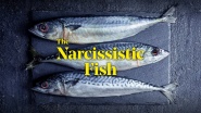 The Narcissistic Fish
