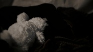 Whispers in the Dark