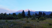Call of the Mountain