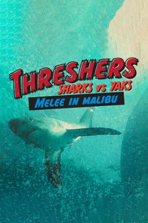Threshers: Sharks vs. Yaks, Melee in Malibu