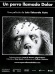 A Dog Called Pain