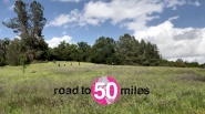 Road to 50 Miles