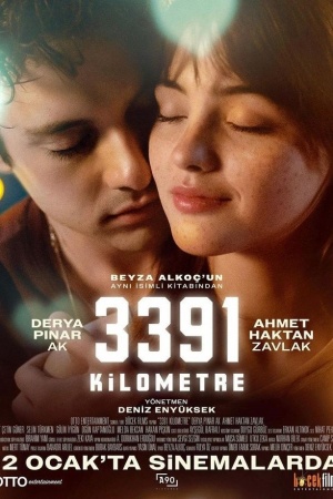 3391 Kilometres
