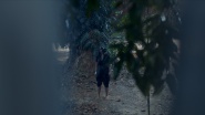 The Ritual Black Nun