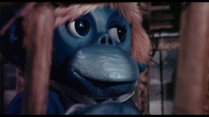 The Rare Blue Apes of Cannibal Isle