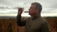 Rioja, Land of the Thousand Wines