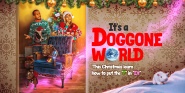 It's a Doggone World