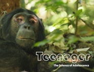 Teenager