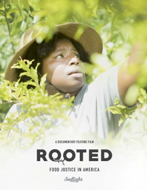 Rooted