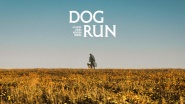 Dog Run
