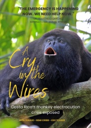 A Cry in the Wires