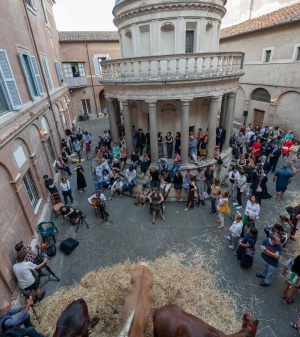 De caballos y guitarras