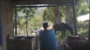 El Vaquero