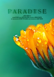 Paradise