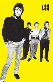 I Was a Teenage Sex Pistol