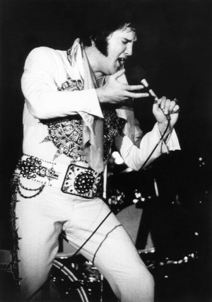 Elvis in Concert