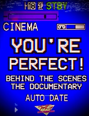You're Perfect!: Behind the Scenes the Documentary