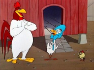 A Broken Leghorn