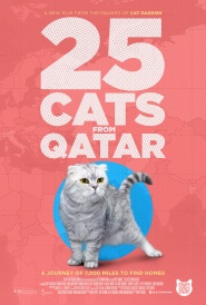 25 Cats from Qatar