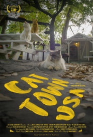 Cat Town, USA