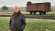 Simon Schama: The Holocaust, 80 Years On
