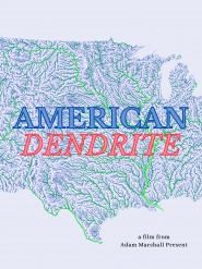 American Dendrite