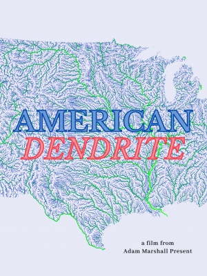 American Dendrite