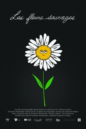 Les fleurs sauvages
