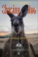 Chasing Roo