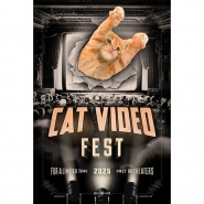 CatVideoFest 2025
