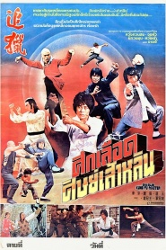 Shaolin Kung Fu Master