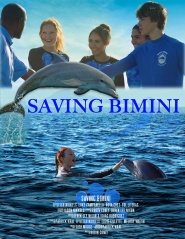 Dolphin Summer