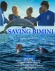 Dolphin Summer