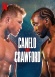 Canelo Álvarez vs. Terence Crawford