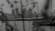Long for the City (Patti Smith in New York)