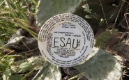 Esau