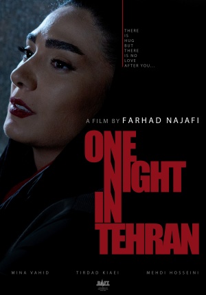 One Night in Tehran