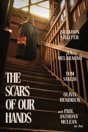 The Scars of Our Hands