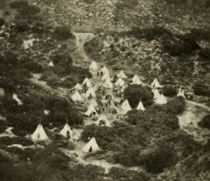 In the Days of the Thundering Herd