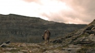 Alptraum: The Last Great Adventure
