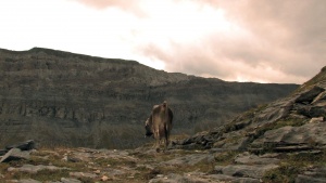 Alptraum: The Last Great Adventure
