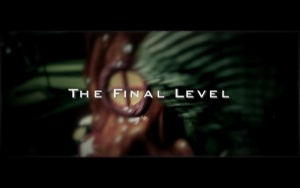The Final Level