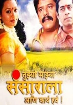 Tujhya Majhya Sansarala Ani Kay hav