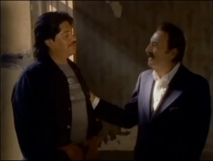 Narco Gays