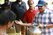 Puliyattam