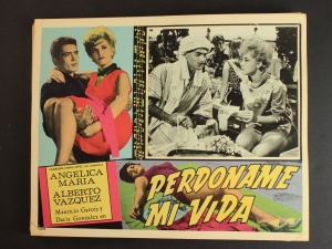 Perdóname mi vida