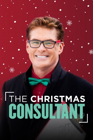 The Christmas Consultant